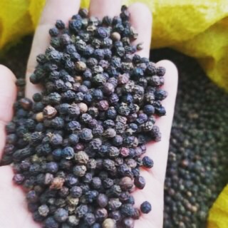 Tiêu đen hạt già phơi khô chắc mẩy 100%- hình nhà trồng