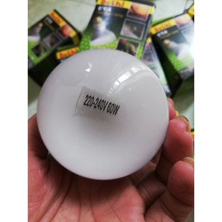 Đèn sưởi ngày cho bò sát UVA