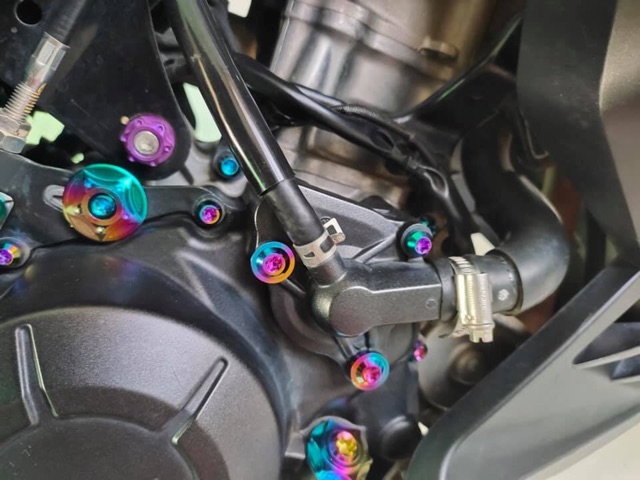 Giá 1 con Ốc 6li gắn Ốp Pô , dè , che sên xe máy