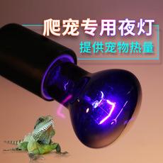 Đèn Sưởi Ấm Cho Thú Cưng Bò Sát