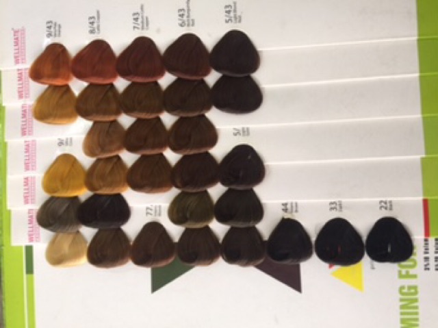 Thuốc nhuộm tóc wellmate | BigBuy360 - bigbuy360.vn