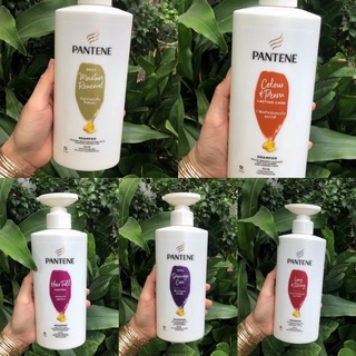 Dầu gội pantene thái lan