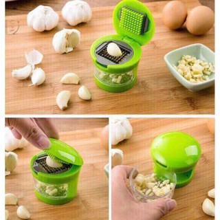 Máy dập tỏi mini cho gia đình