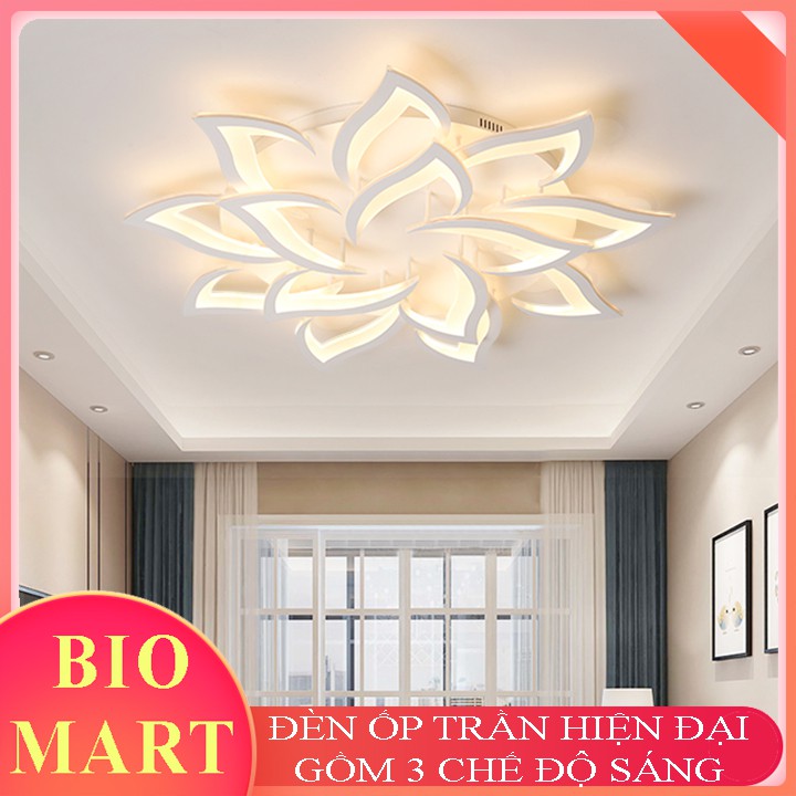 Đèn Ốp Trần Trang Trí – Đèn Âm Trần Trang Trí Phòng Khách, Gồm 3 Chế Độ Ánh Sáng, Có Điều Khiển Từ Xa Tiện Dụng – BIO116