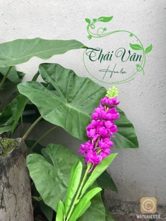 Hoa giả hoa lụa- Cành Hoa Phi Yến 90cm đủ màu ❤️