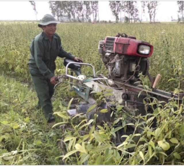 500gam Mè ( vừng) đen Oganic