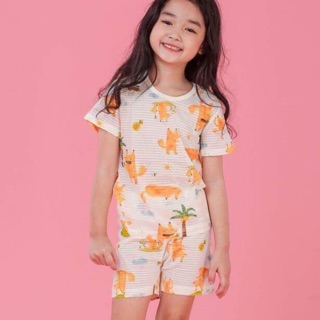 Bộ cotton giấy chất Hàn xuất dư