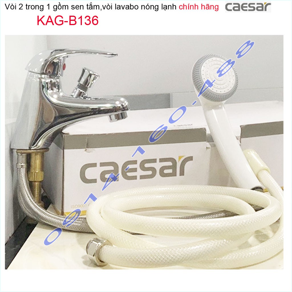 Vòi lavabo kết hợp sen tắm nóng lạnh Caesar KAG-B136, Vòi sen và chậu rửa vừa tắm vừa rửa tay cho homestay nhà tắm nhỏ