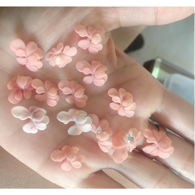 Hoa bột nail rẻ đẹp