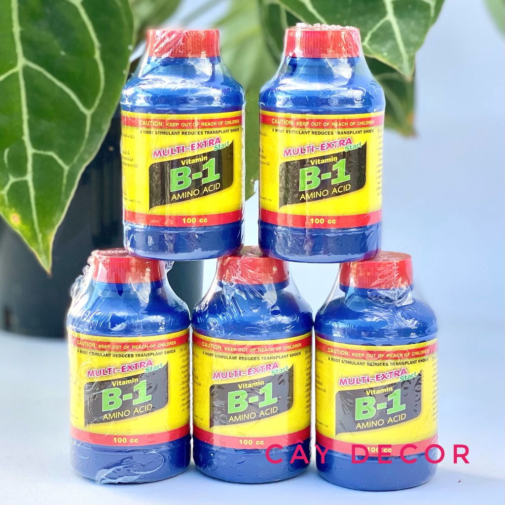 Phân bón lá B1 [XỊN] cho kiểng lá, phong lan, chai 100ml