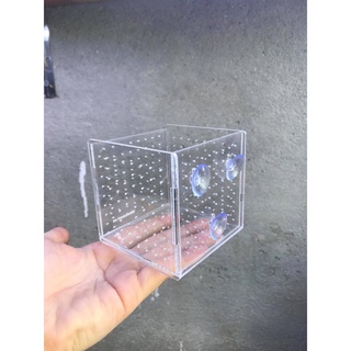 Box mica hít su/ lồng dưỡng tép cá (10x10x10cm)