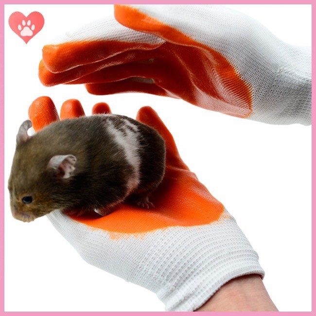 GĂNG TAY BỌC NHỰA CHỐNG CẮN ĐỂ BẮT THÚ CƯNG MÈO, HAMSTER, THỎ, BỌ SÁT