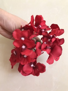 Chùm hoa Tú cầu