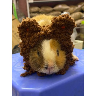 NÓN GẤU NÂU XÙ CHO HAMSTER, CHUỘT, BỌ Ú...
