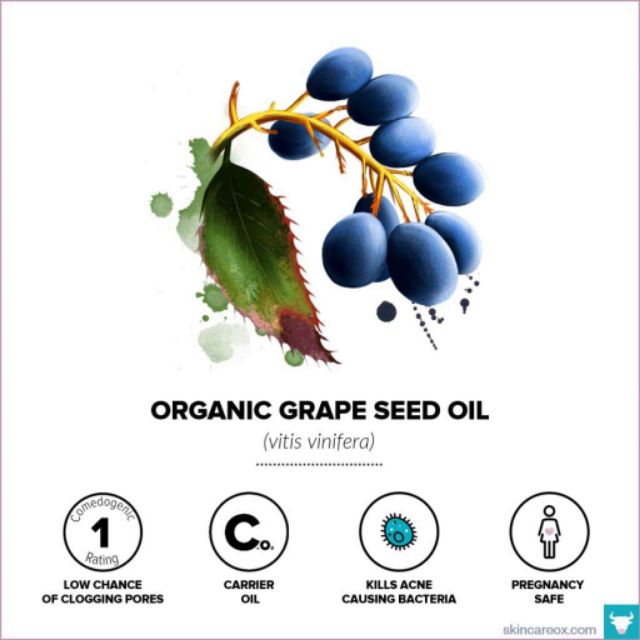 Dầu Hạt Nho - Grapeseed Oil - Now Solutions - Dầu dưỡng cho da dầu mụn | BigBuy360 - bigbuy360.vn