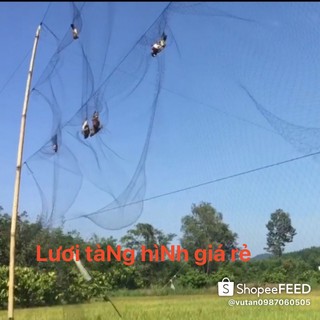 15m lưới tàng hình bắt chim sâu.ri khuyên.sẻ