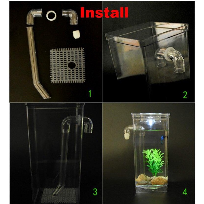 Bể cá thông minh mini My Fun Fish tự làm sạch nước bẩn