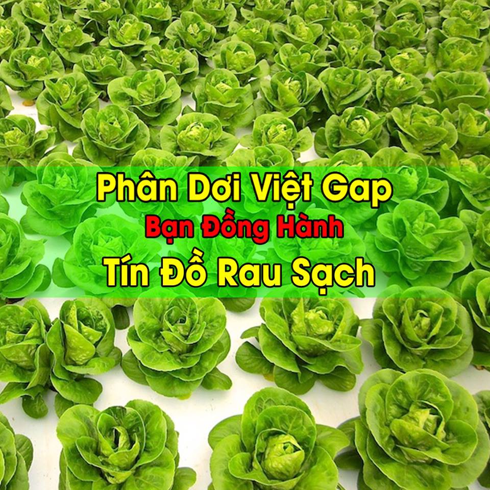 Phân Dơi Tự Nhiên - Bổ Xung Khoáng Chất - Tâm Hồng Đức