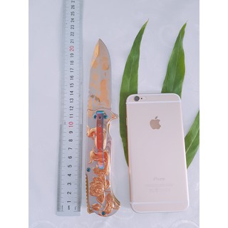 Dao Phượt Phượng Hoàng