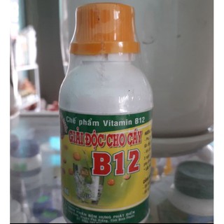 Thuốc giải độc chống sốc cho lan vitamin b12(lọ 50ml)