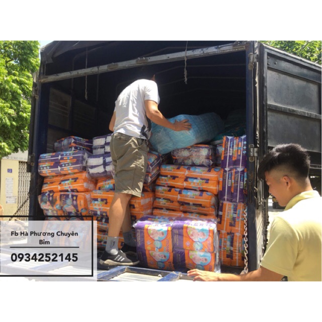 Combo Tã Dán Moha M112 L96 Xl80 miếng ( 4 Bịch )