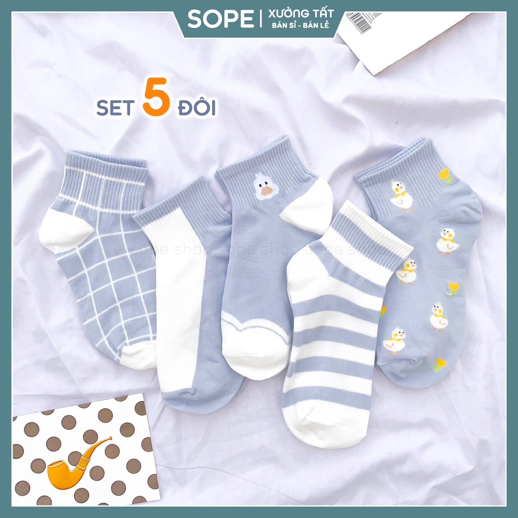 Tất cổ ngắn nữ nam phong cách Hàn Quốc, set tất vớ 5 đôi 5 mẫu dễ phối đồ - Sope Shop