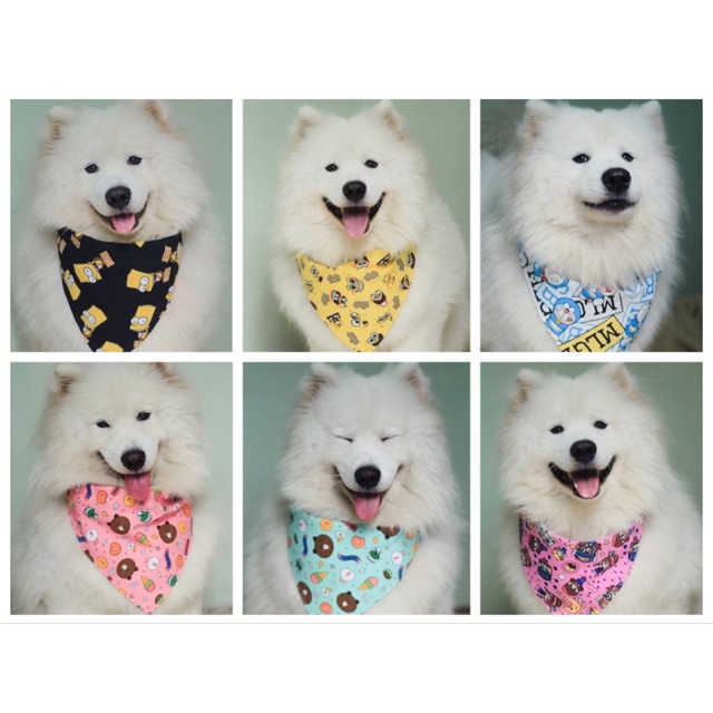 Khăn yếm hoạt hình cute cho Cún