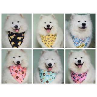 Khăn yếm hoạt hình cute cho Cún