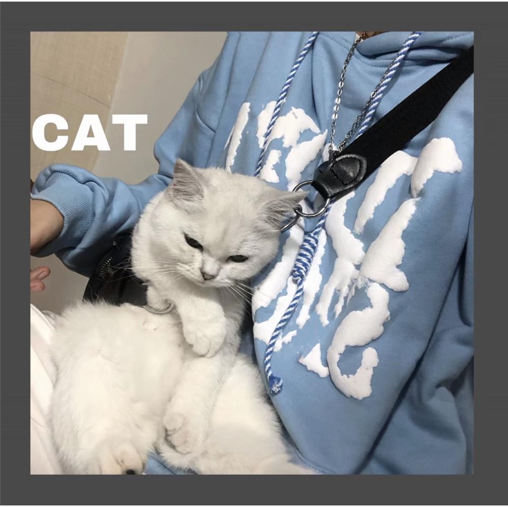 Áo Hoodie Form Rộng In Chữ Phong Cách Hàn Quốc Cho Nữ