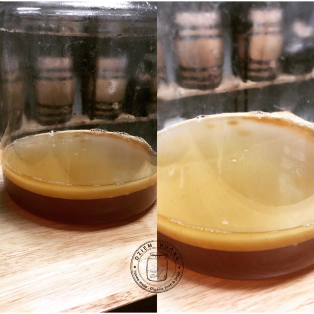 SCOBY làm trà Kombucha