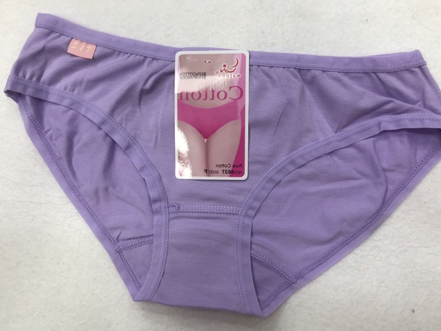 10 Quần lót nữ (6637) cotton hàng Việt Nam cao cấp )