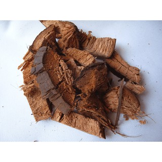 XƠ DỪA CỤC  THÔ TRỒNG LAN ĐÃ QUA XỬ LÝ 450g