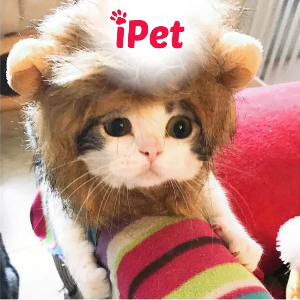 Nón Cho Chó Mèo Cosplay, Mũ Thú Cưng Dễ Thương - iPet Shop