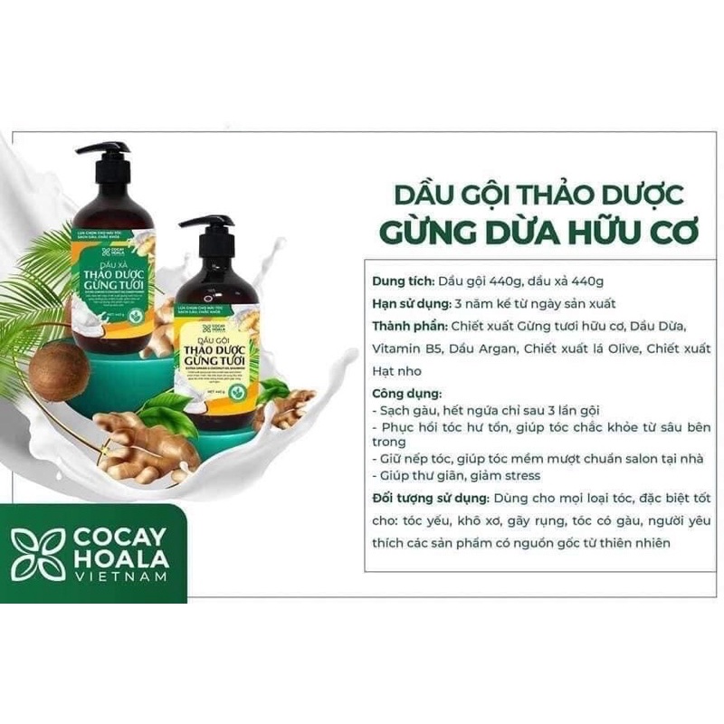 [Chính hãng] Combo 3 sản phẩm Bộ dầu gội và xả gừng dừa + Dung dịch x2 nano nghệ + Sữa tắm chống cảm gừng nghệ