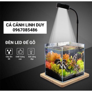 ĐÈN LED ĐẾ GỖ , ĐÈN LED THỦY SINH , ĐÈN LED HỒ CÁ , ĐÈN LED RỌI