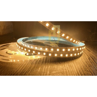 Led dây dán 12v - 120 led/mét - cuộn 5m