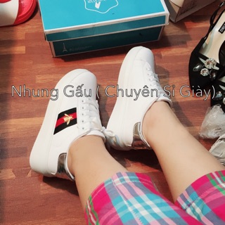 Freeship 99k tq_giày