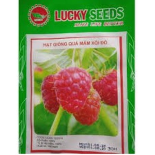 HẠT GIỐNG QUẢ MÂM XÔI ĐỎ 30H
