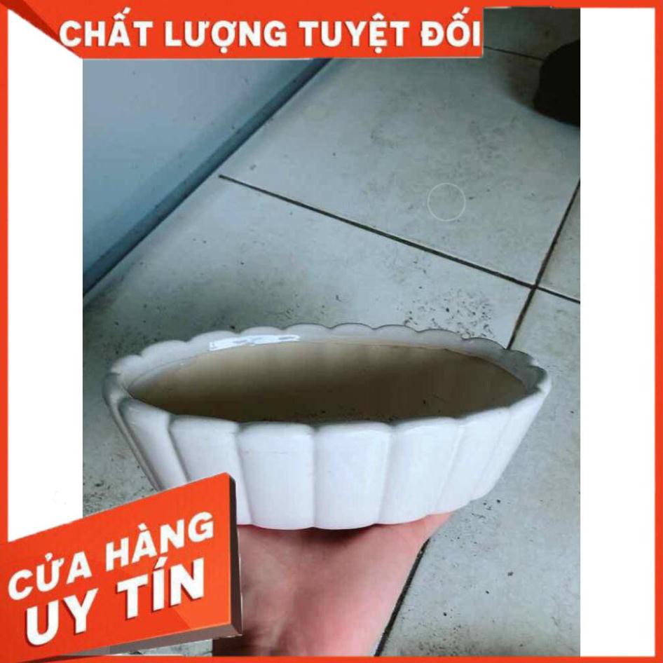 Chậu Trồng Cây Nhiều Người Mua