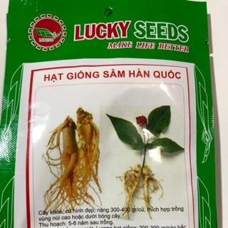 HẠT GIỐNG SÂM HÀN QUỐC