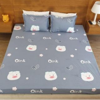 combo ga chống thấm