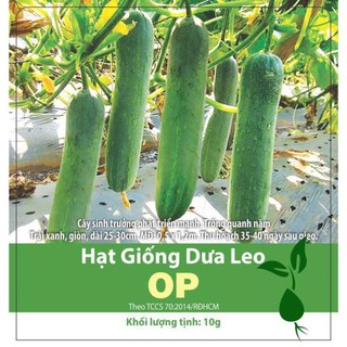 [Giống Chịu Nhiệt] 5 Gram Hạt Giống Dưa Leo Lai F1 Rạng Đông