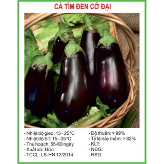 Hạt Giống Cà tím 10 Hạt/ Gói