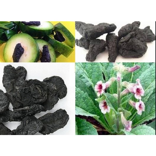 Thục Địa - Thái Lát Sấy Nhẹ Khô 100 gram