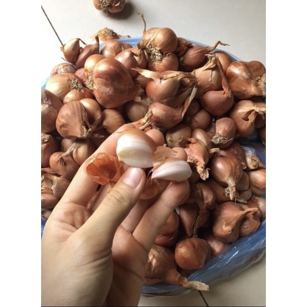 HÀNH KHÔ  LOẠI 1 ĐÃ CHON LỌC HẢI DƯƠNG