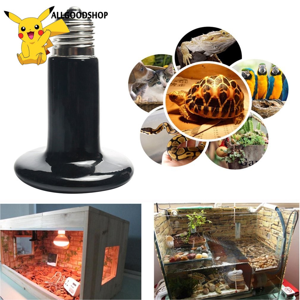 Đèn sưởi ấm cho thú cưng 25W 50W 75W 150W 200W | BigBuy360 - bigbuy360.vn