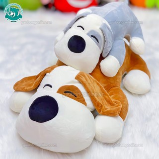 Chó Bông Mắt Đốm