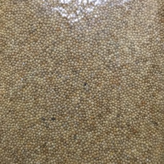 Hạt Kê mềm của Pháp