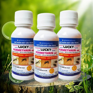 Thuốc diệt côn trùng, ruồi, muỗi, kiến, gián lucky permethrin 50ec 100ml
