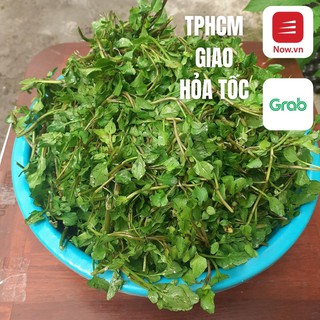 Rau cải xà lách xoong